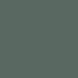 fenix-0750-sivo-zelena